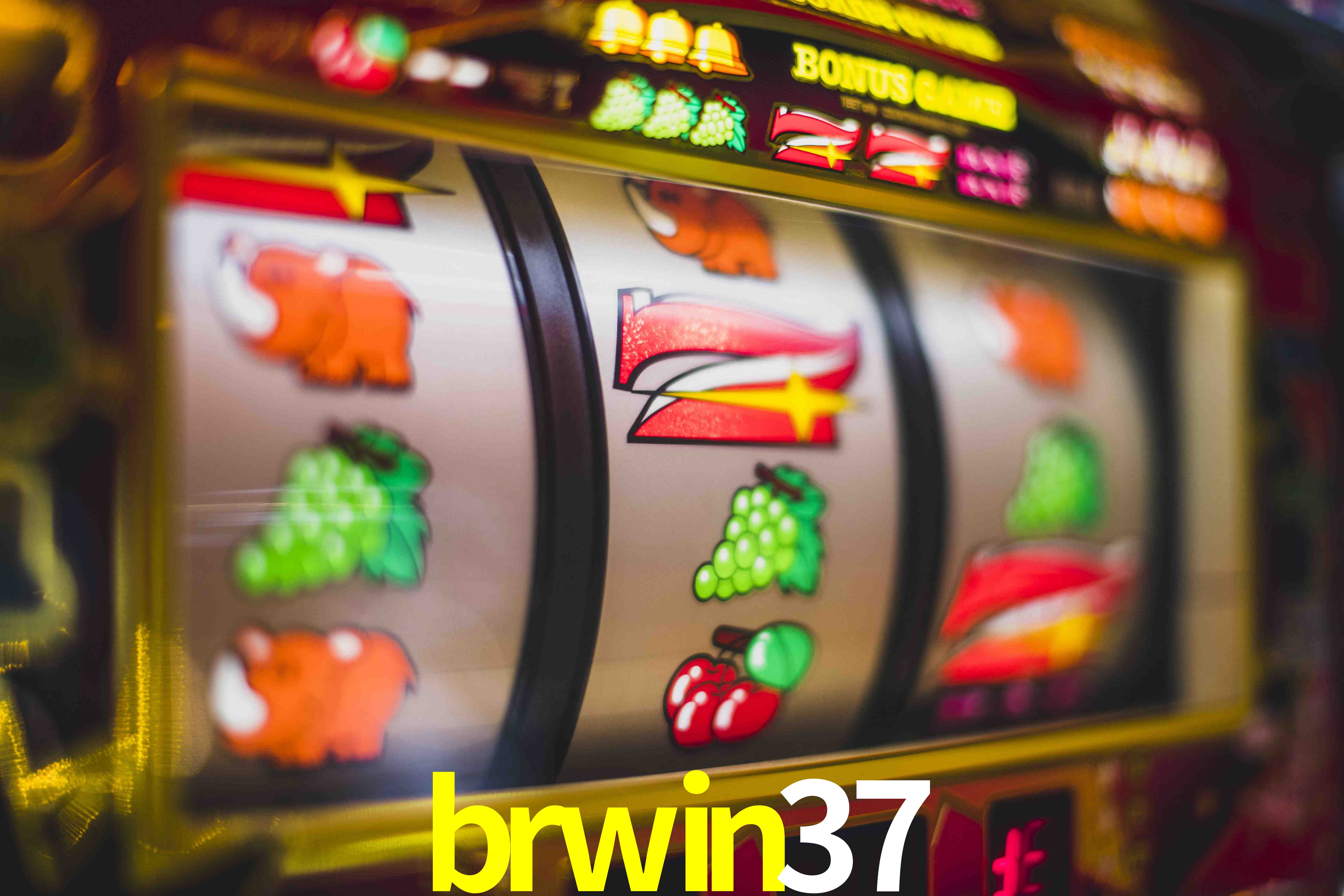 Experiência VIP brwin37